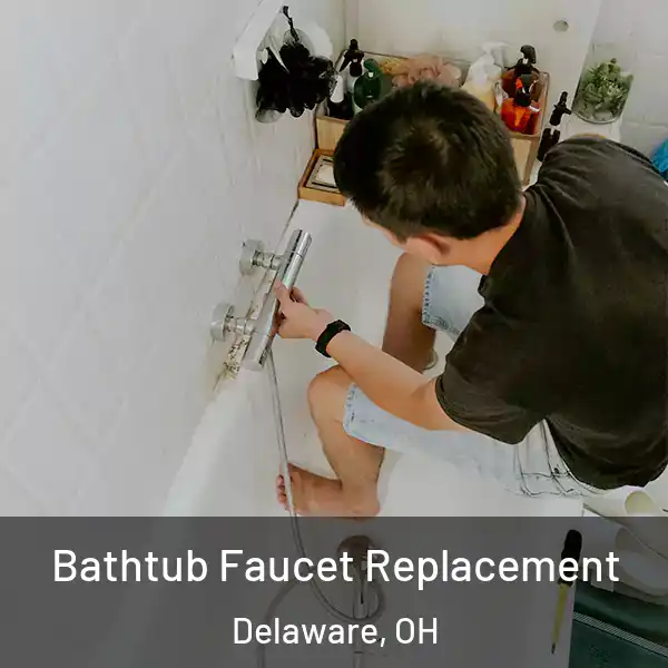  Bathtub Faucet Replacement Delaware, OH