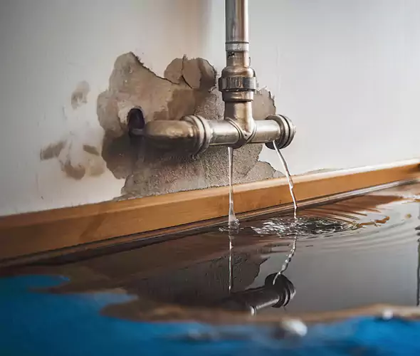 Professional Water Damage Restoration Experts in Delaware, OH — Fast, Reliable & Certified