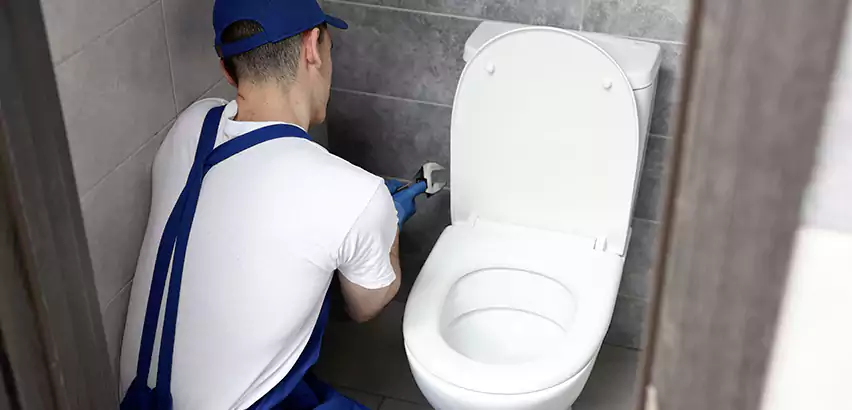 Toilet Lid Replacement in Delaware
