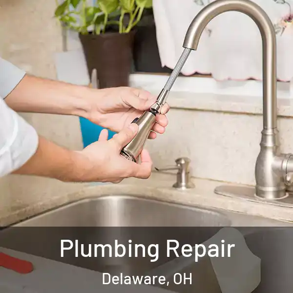  Plumbing Repair Delaware, OH
