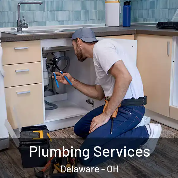  Plumbing Services Delaware - OH