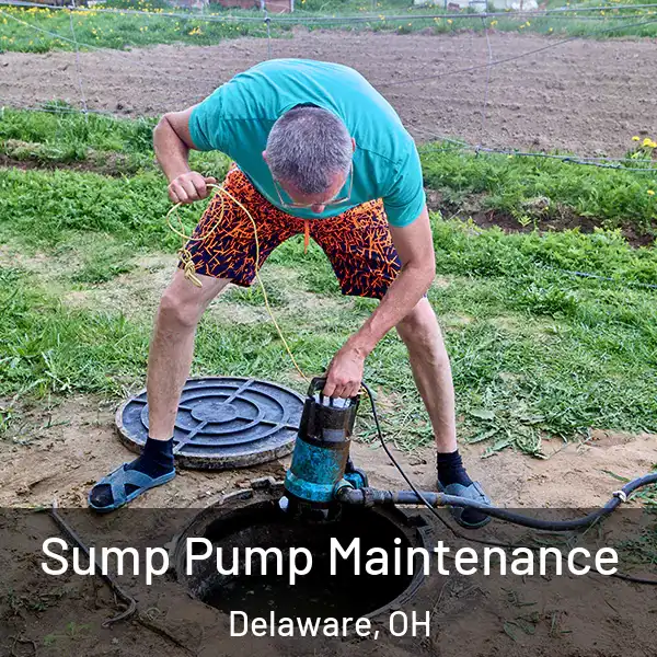  Sump Pump Maintenance Delaware, OH
