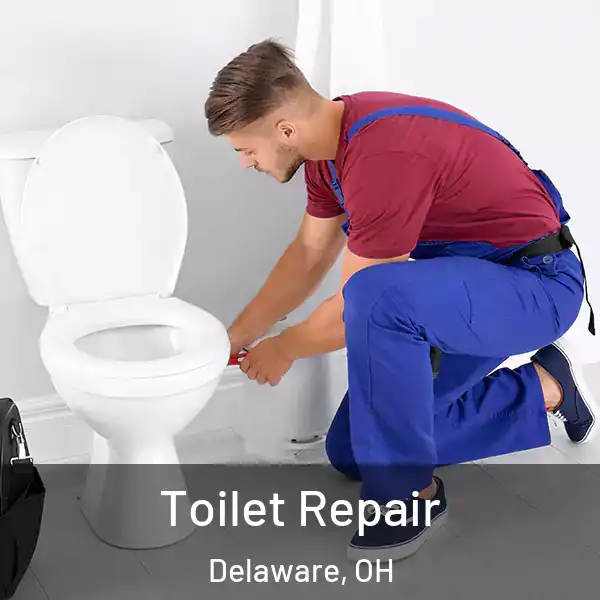  Toilet Repair Delaware, OH