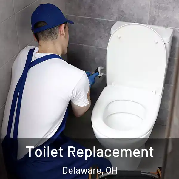  Toilet Replacement Delaware, OH